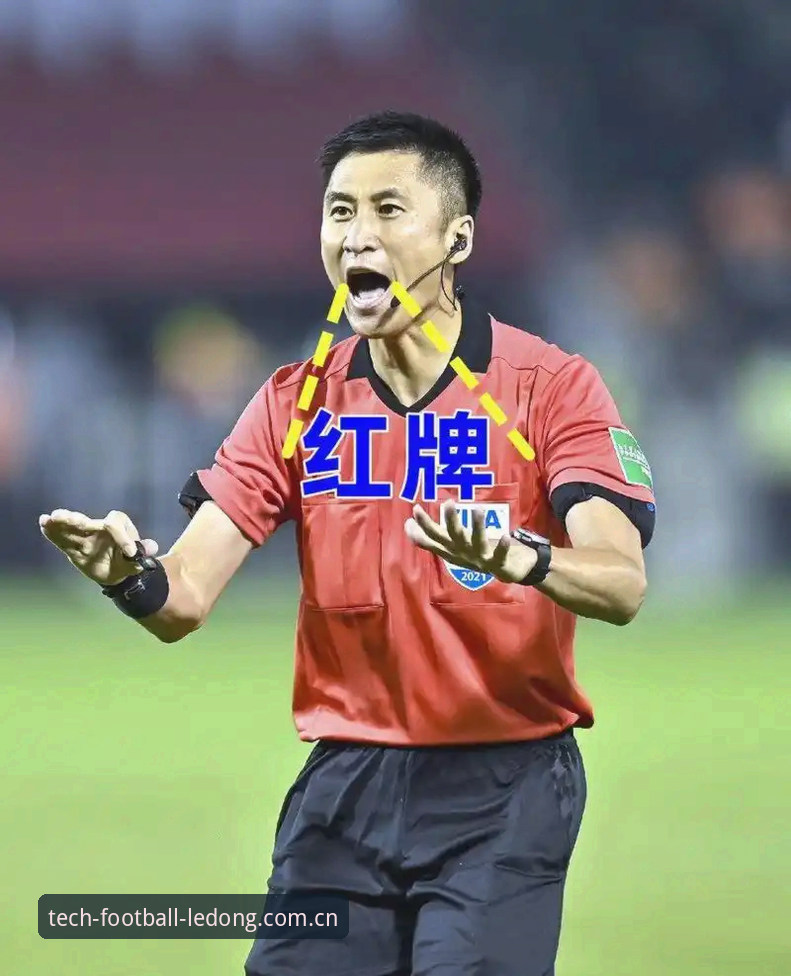 马宁世界杯执裁前访谈实录：裁判与球迷关系的“数字化”断裂｜乐动体育培训趋势观察